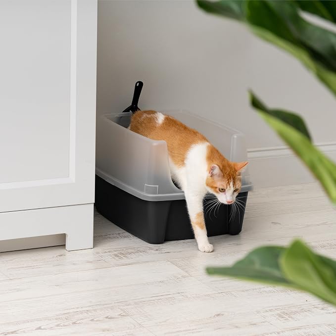 IRIS USA Large High Sided Cat Litter Box, Scatter Shield | High Kickers, Kick-Proof Sides, Extra Deep Pan, Raised Edge Protection, Keeps Floor Clean, Easy Daily Scoop