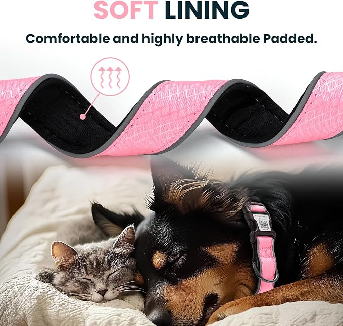 Reflective Dog Collar with QR Code Tag,Neon Pink S (9.8"-15.7")