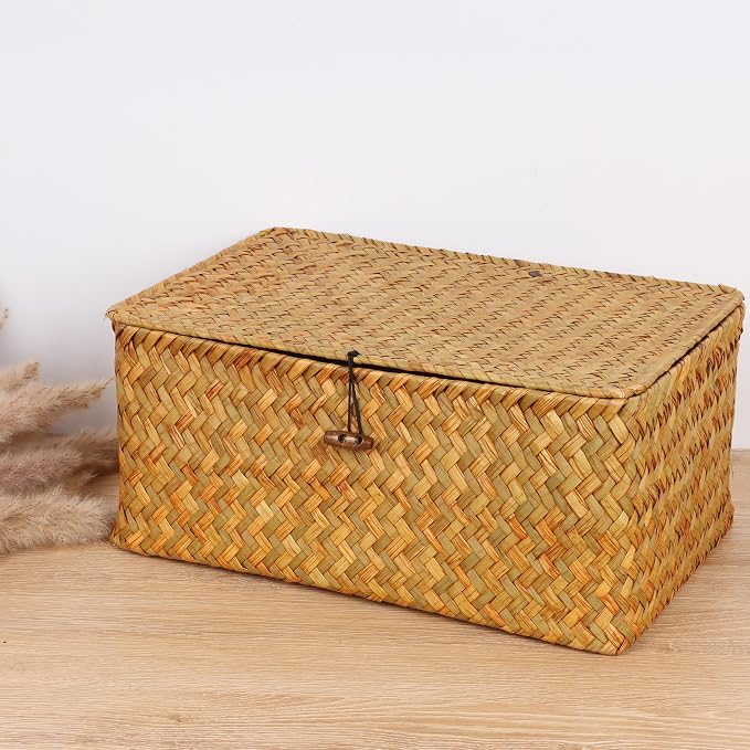 FEIALNDUO Wicker Shelf Baskets with Lid,Seagrass Storage Basket Bins Rectangular Handwoven Basket Boxes for Shelves Desktop Home Organizer (Natural, Large)