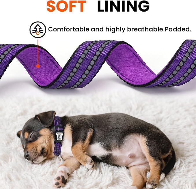 Personalized Dog Collar with QR Code Dog Tag, Purple M | Anti-lost, 1000D nylon, reflective, padded, XS-L(8"-24"), QR buckle shares lost pet profile, location alerts when scanned