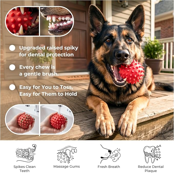 Beef-Flavored 3.5''Squeaky Dog Ball for 25-80lbs Aggressive Chewers