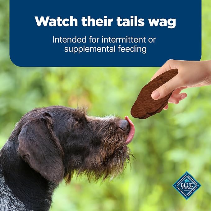 Blue Buffalo Nudges Jerky Cuts Dog Treats, Made in the USA with Natural Ingredients, Steak, 10-oz Bag (Pack of 6)