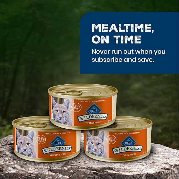 Blue Buffalo Wilderness Turkey Paté Adult Wet Cat Food, 5.5 oz, 24 ct | Real Turkey #1 Ingredients, High Protein & Grain-Free Recipes, Supports Energy for an Active Life