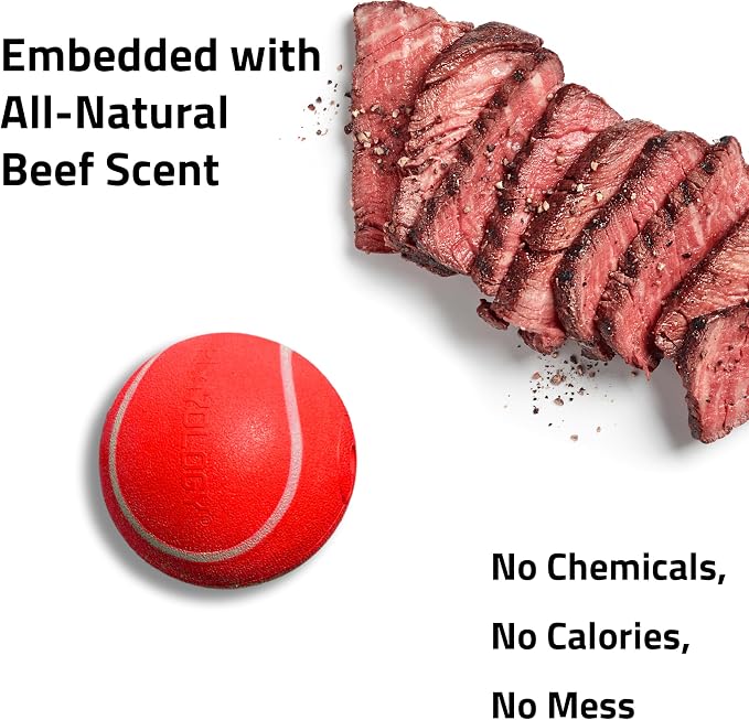 Playology Squeaky Chew Ball Dog Toy - Medium, Beef Scent, 2-Pack