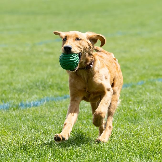 PetKORE Luna Ball - 4" Large, Green, Dog & Puppy Toy, Flexible Rubber, Teething & Chewing, Tactile Surface, Bounce & Fetch, Pet Indoor-Outdoor Play