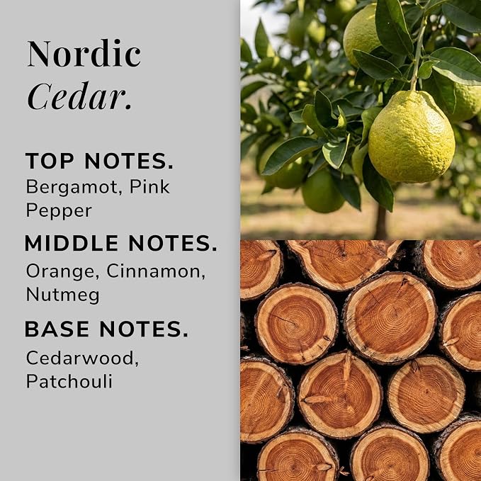 Nordic Cedar Aromatherapy Candle – Cedarwood, Cinnamon & Bergamot Scented Candle, Plant-Based Wax, 9.8 oz, 50 Hour Burn Time, Warm & Cozy Candle