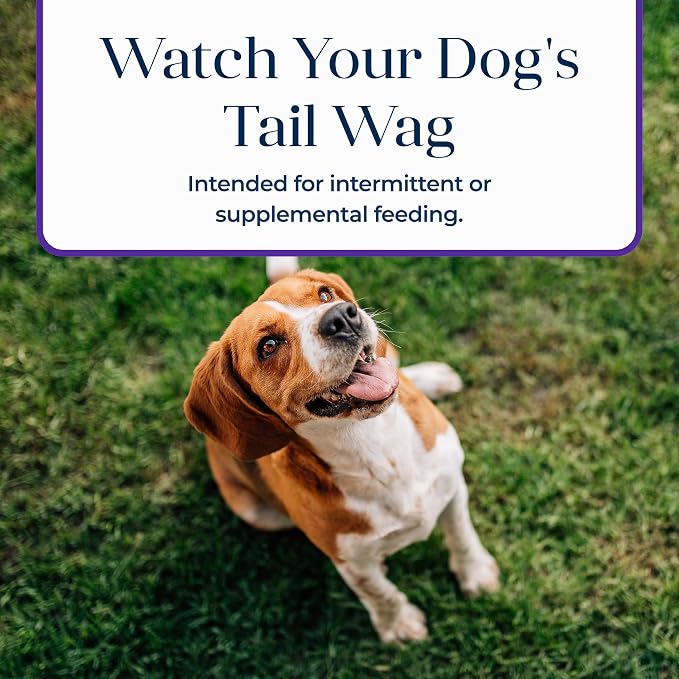 Blue Buffalo Basics Turkey Skin & Stomach Care Dog Biscuits, 6 oz | Real Turkey #1 Ingredient, Limited Ingredient Diet, Antioxidant-Rich LifeSource Bits, Crunchy Treat for All Breed Sizes