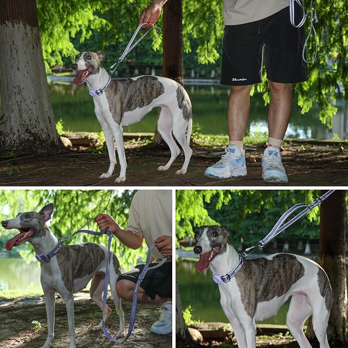 AirTag Dog Collar, Reflective Nylon, Metal Buckle, IP68, Dog Collar with AirTag Holder, Heavy Duty Dog Collars for Large Medium Small Dogs (Lavender Purple, L：Width 1",Neck 16.1"-25.2")
