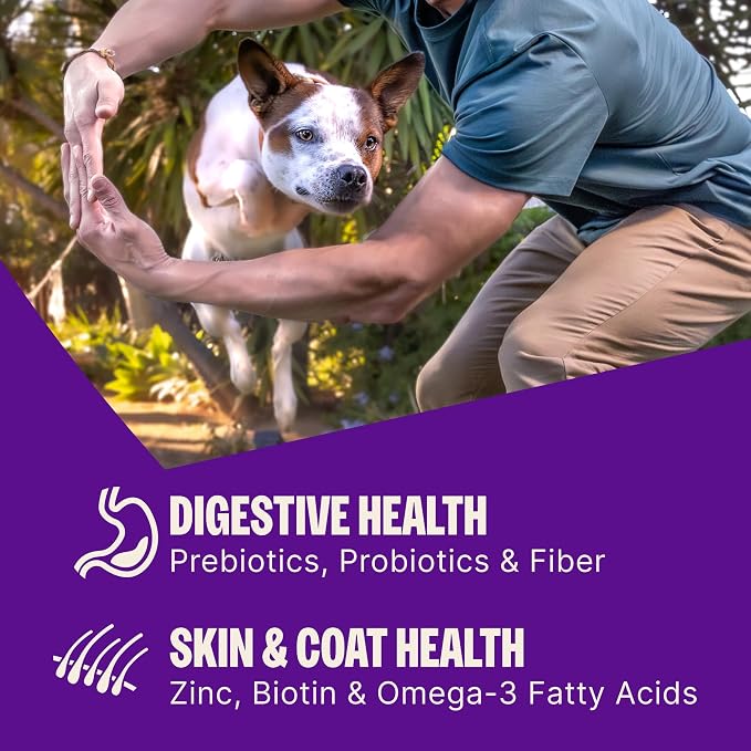 Wellness CORE+ Small Breed Adult Dry Dog Food with Freeze Dried Pieces, Grain Free Kibble+, Natural, High Protein, Turkey and Chicken Recipe, 10 lb Bag