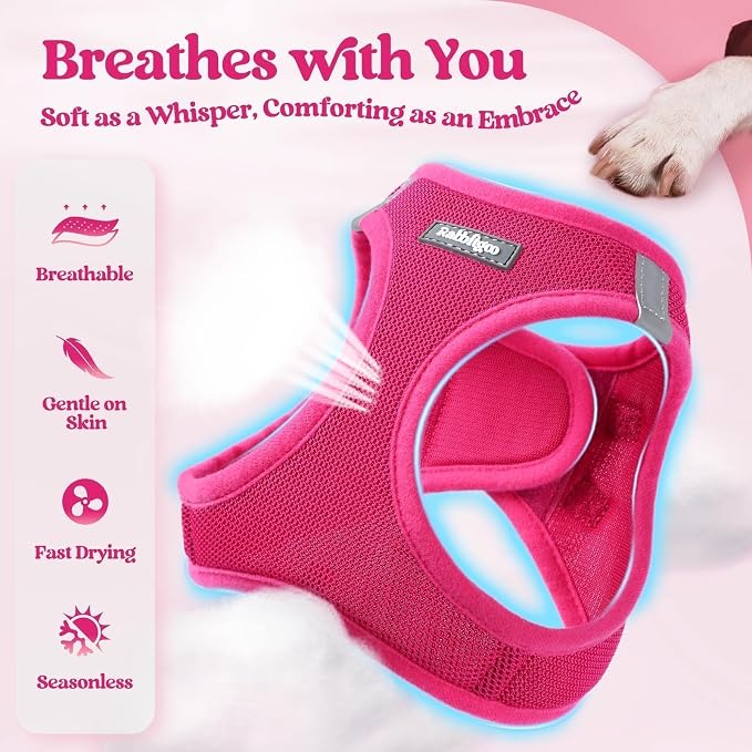 rabbitgoo Dog Harness Medium Sized and Leash Set, Step-in Puppy Pet Vest | Light, Soft, Breathable Air Mesh, Easy on and Remove with Hook & Loop, Secure Reflective for Walking, Rose Red L