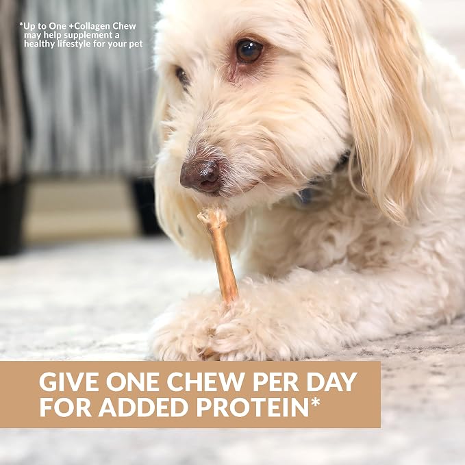 Wild Eats Turkey Collagen Sticks for Dogs (15 Pack, 1 cm Wide) Long Lasting Dog Chews No Hide Dog Treat Bully Stick Alternative, Rawhide Free, Grain Free, High Protein | Rawhide and grain free no hide chew treats, 1 cm chew width, high protein, long la...