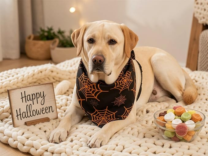 Fall Dog Bandanas 2PCS Halloween Pumpkin Spider Web XLarge Dogs | Reversible dog bandanas for fall & Halloween & Thanksgiving. Orange plaid/pumpkin/Spider Web design. Fits extra large dog