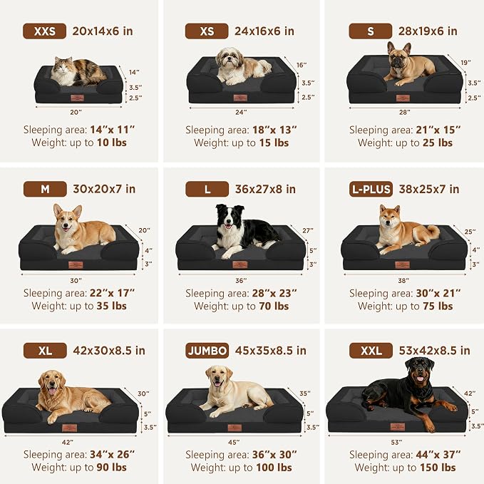 Comfort Expression Waterproof Orthopedic Dog Beds for Large Sized Dog | Supportive Egg Crate Foam Large Pet Bed with Removable Bolster, Dog Couch with Washable Cover & Non-Slip Bottom, 36x27 Inch