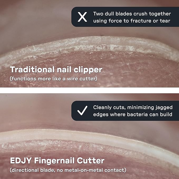 EDJY Fingernail Cutter - Precision Stainless Steel Nail Cutter for Fingernails | Sharp Blade, Ergonomic Design, Durable & Rust-Resistant | Ideal for Men and Women | Multi Color | 4-Pack