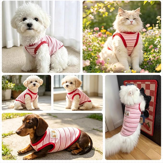 Small Dog Shirts Classic Striped Dogs Cats Clothes, Red M | Soft Pet Tee Shirt, Breathable Dog Outfits with Exquisite Edging, Small Puppy Pajamas Chihuahua Yorki Party Daily Costumes
