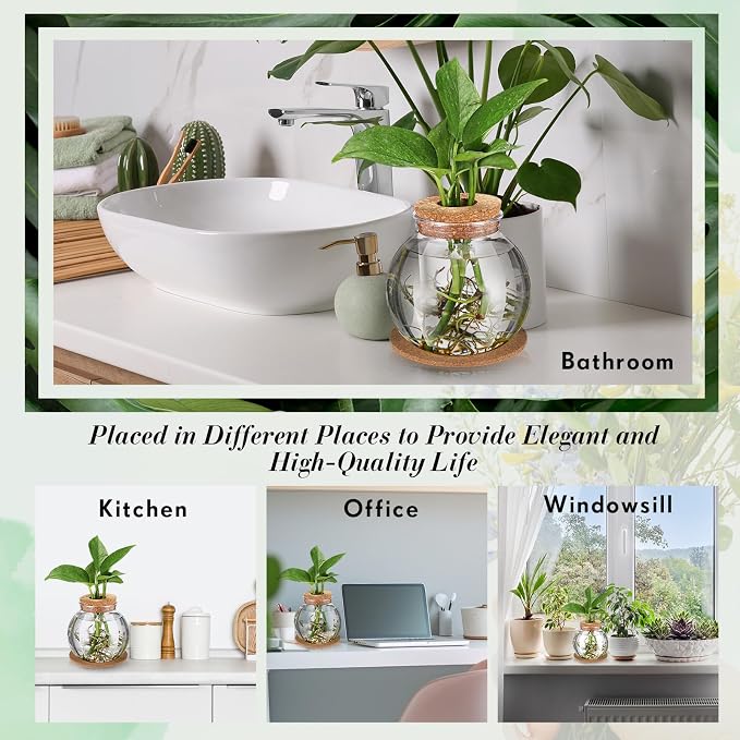 12 Packs Propagation Vases for Plants Plastic Plant Propagation Station with Hole Lid and Cork Coasters Plant Growing in Water Hydroponic Home Office Table Decoration(Fish Bowl Style)