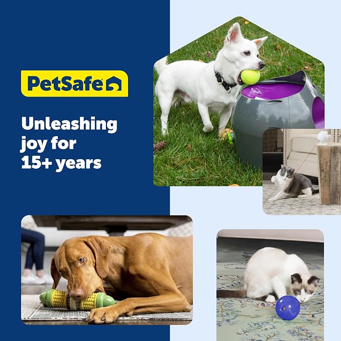 PetSafe Busy Buddy Chuckle Sound Dog Chew Toy - Treat Dispenser, BB-CHK, Purple