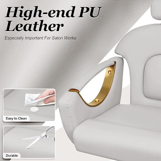 Baasha Ergonomic Reclining Salon Chair with Adjustable & Removable Headrest, Gold & Gray Hydraulic Styling Chair, Soft PU Leather, 135° Recline, 360° Swivel, Heavy-Duty Steel Frame, 330 lbs Capacity