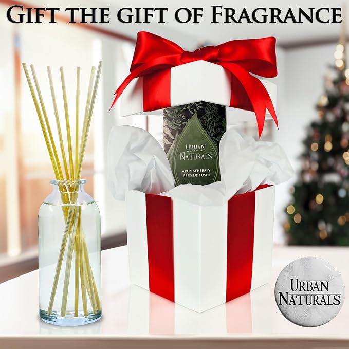 Urban Naturals Moroccan Amber Essential Oil Reed Diffuser Gift Set | Golden Silk Amber, Sun-Kissed Citron, Raw Coconut & Acai | Great Home Fragrance Gift Idea