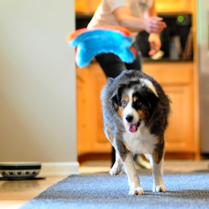 Chuckit! Indoor Fetch Squirrel Toy for Dogs, Orange and Blue