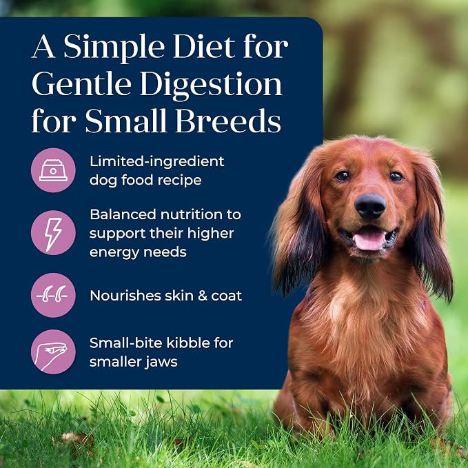 Blue Buffalo Basics Turkey Small Breed Adult Dry Dog Food, 4 lb | Skin & Stomach Care, Real Turkey #1 Ingredient, Limited Ingredient Diet, Antioxidant-Rich LifeSource Bits, High Energy Needs