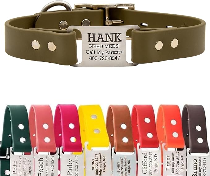 dogIDs Personalized Dog Collar – ScruffTag Custom Waterproof Biothane Dog Collar with Laser-Engraved Name, Durable & Odor-Resistant – USA Made | Sage, 3/4 in x 14 in (Fits Neck Sizes 12-16 in)