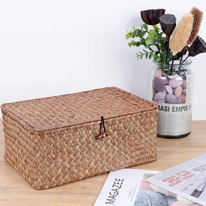 FEIALNDUO Wicker Shelf Baskets with Lid,Seagrass Storage Basket Bins Rectangular Handwoven Basket Boxes for Shelves Desktop Home Organizer (Coffee, Large)