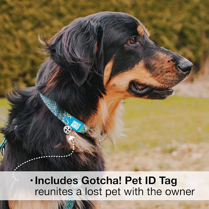 Max & Molly Urban Pets Smart ID Dog Collar - Soft Neoprene, Waterproof, Machine Washable, Power Buckle, Gotcha! QR Tag & Custom App Profile, Retro Blue M
