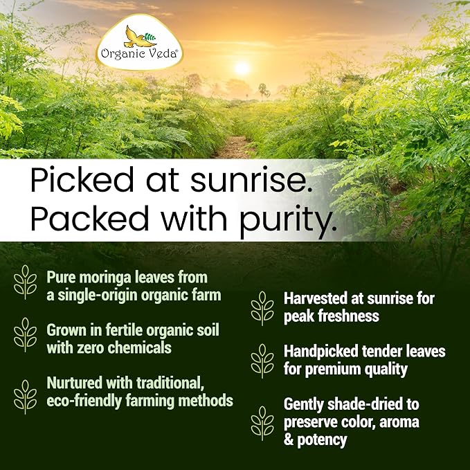 Organic Veda Moringa Tea Leaves - True Green Rich, Premium Single Origin,100% Organic Moringa Oleifera Loose Leaf Tea, Baking, Soup Powder, Caffeine-Free, Vegan, Non-GMO- 7oz