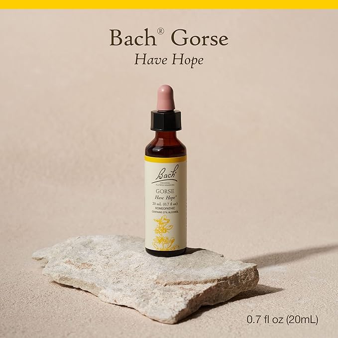 Bach Original Flower Remedies, Gorse - Have Hope - Natural Homeopathic Flower Essence for Emotional Balance - Vegan, Gluten Free, Sugar Free - 20mL Dropper