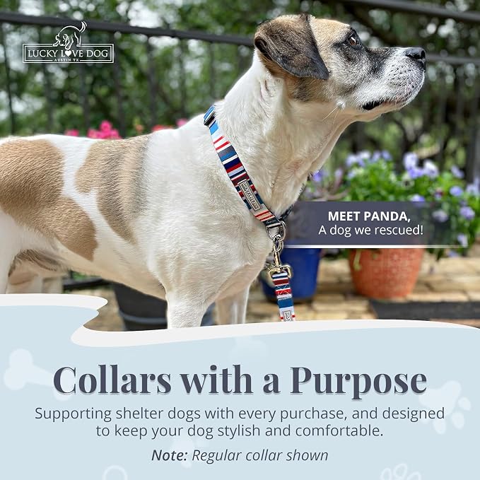 Lucky Love Dog Martingale Collar for Medium Dogs No Slip – Linus, Medium