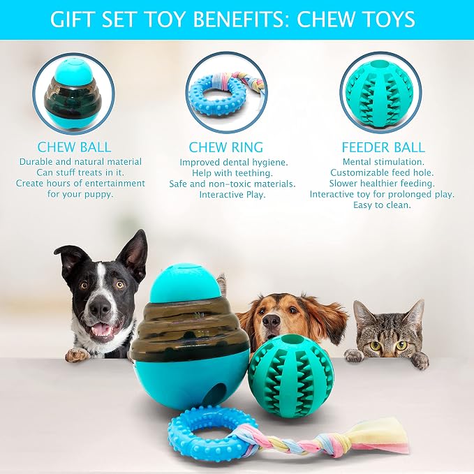 Puppy Starter Kit – 5pc Dog Toy Gift Set for Small Dogs – New Puppy Essentials Gift Box with Blanket, Squeaky Plush, Teething Ring, Treat Ball & Chew Ball (Blue)