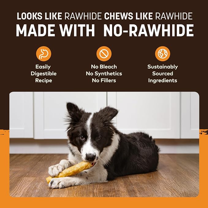 Earth Animal No Hide Dog Chews - Rawhide Free Medium Rolls 6 Count Chicken | Medium Chicken Flavored Natural Rawhide Free Long Lasting Dog Chews - Treats for Medium Dogs and Aggressive Chewers