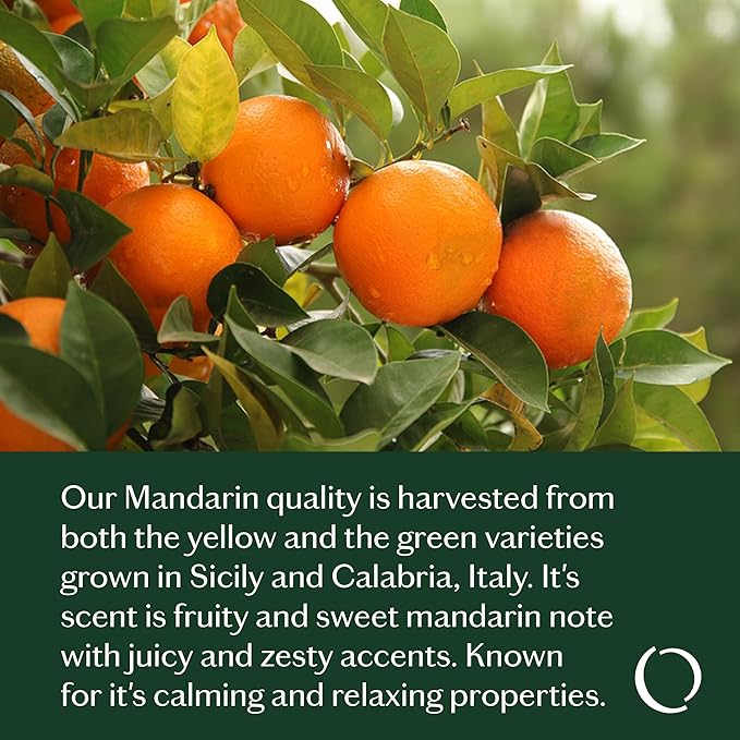 LIVEDROPS 24/7 Balanced Essential Oil Blend Mandarin Cardamom Cypress Patchouli | Aromatherapy for Calm, Harmony & Grounding | Skin-Safe Diffuser Oil | Vegan French Perfumers Clinically Tested 10ml