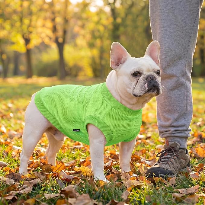 1 Pack Dog Shirt for Small Supplies Functional Waffle Dog Clothes Warm Soft Sweatshirt Outfit for Dogs Cats Pet Apparel