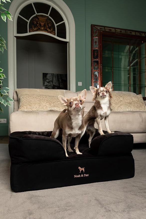 NOAH & PAW Dog Bed, 28x23x11 Inch, Orthopedic Dog Beds for Medium Size Pets, Eggshell Memory Foam Infused with Cooling Gel, Inner Cover, Water Resistant, Machine Washable (Denim Sofa Collection)