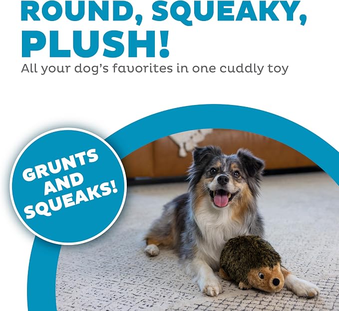Outward Hound Hedgehogz Plush Dog Toy, Squeaks & Grunts, Medium, 9" x 6.5" | Soft Realistic Faux Fur, Round for Rolling & Chasing, Cuddle & Carry, Interactive Fetch, Light Chewers, Dogs & Puppies