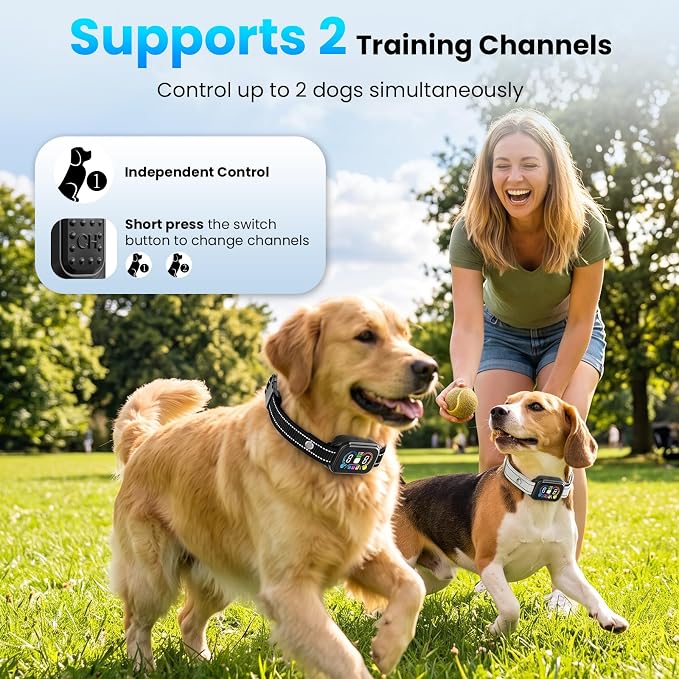 2-in-1 Bark & Shock Collar 2 Pack, Color Screen Remote for 2 Dogs, Beep/Vibration/Shock 3 Modes, 8 Sensitivity Levels, IP67 Waterproof, Portable Training Collar for Medium and Large Dogs (5-120lbs)