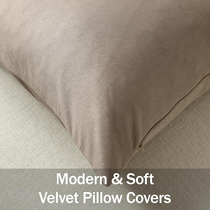 Lumbar Pillow Covers 12x20 Taupe: Pack of 2 Cozy Soft Velvet Rectangular Modern Luxury Decorative Throw Pillow Cases for Sofa Couch Living Room Bed Home Decor