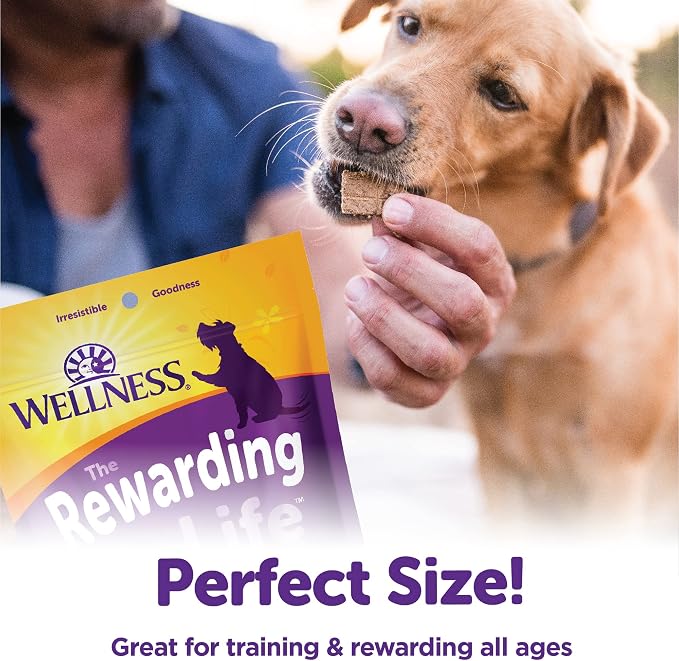 Wellness Rewarding Life Soft Dog Training Treats, Natural, Grain Free, Beef and Turkey Recipe, 6 oz Bag (Pack of 2)