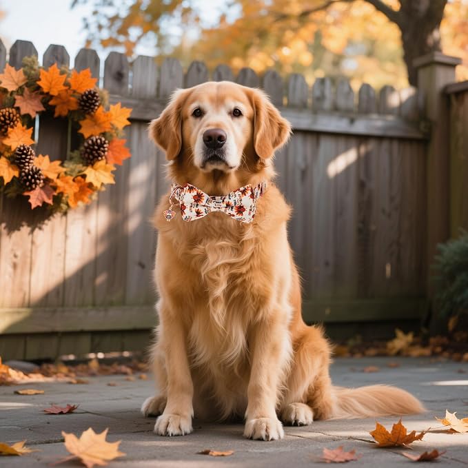 ADOGGYGO Thanksgiving Dog Collars with Bow, Gobble Turkey Pet Collar, XL