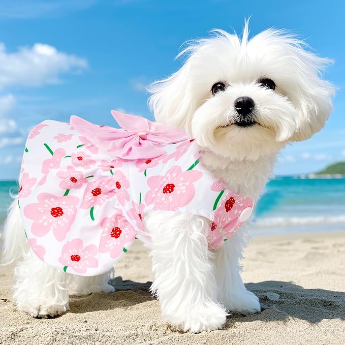 choyaxo 4pcs Cute Dog Dress Pet Dress Puppy Skirt Summer Pet Clothes for Puppy Small Cats