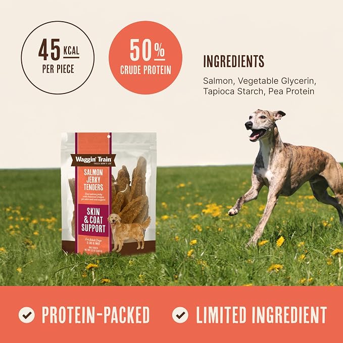 Waggin' Train Salmon Jerky Dog Treats for Skin and Coat Support, Made with 100% Real Salmon, No Grains and No Artificial Flavors or Colors, High Protein Dog Treat, Easily Digestible, 12 oz. Pouch
