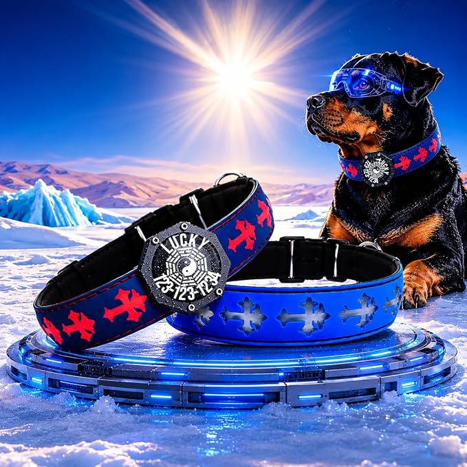 Light Up Glow Dog Collar with Holder Compatible with AirTag