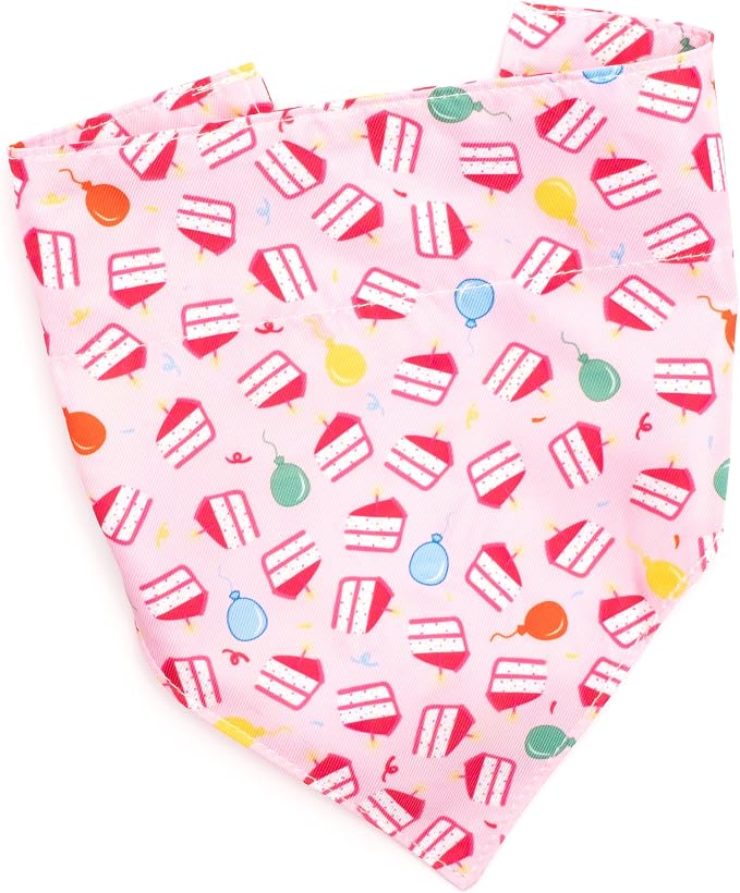 THE WORTHY DOG Slide-On Printed Bandana for Dogs & Cats, Birthday Girl
