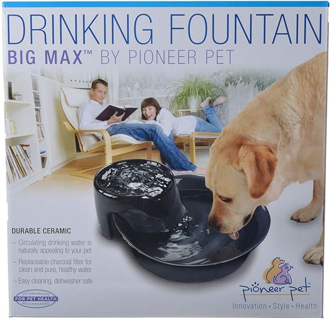 Pioneer Ceramic Drinking Fountain Big Max , 128 oz,Black