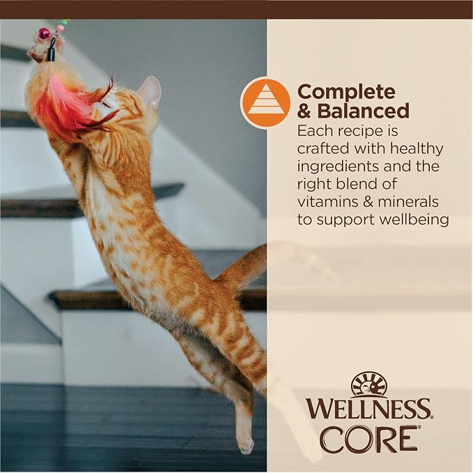 Wellness CORE Tiny Tasters Minced Adult Wet Cat Food,Natural,Protein-Rich,Grain Free,1.75-Ounce Pouch,(Chicken),(Pack of 24)