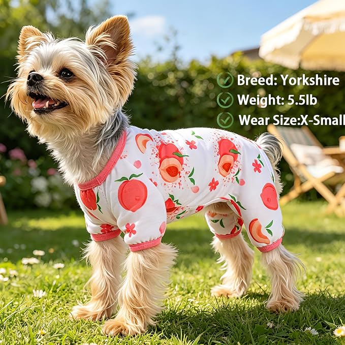 Dog Pajamas for Small Dogs Soft Strechy Summer Dog Pjs Puppy Clothes for Chihuahua Yorkie Boy Girl Cat Pet Outfits Cute Pattern XXS~L (Peach, Medium)