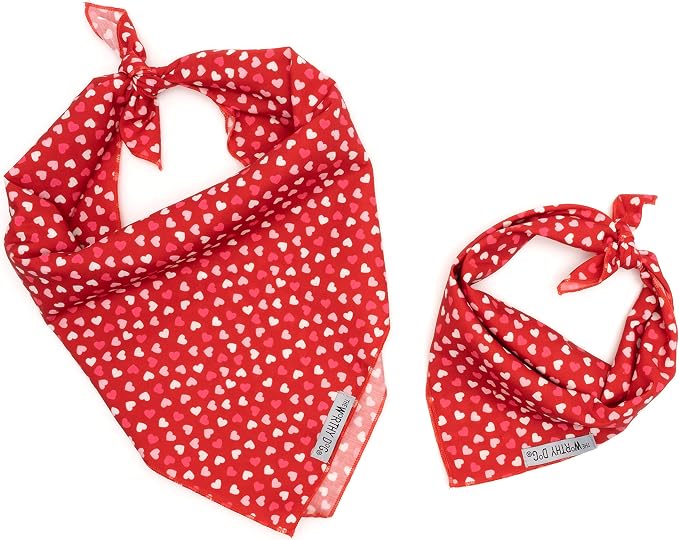 THE WORTHY DOG Icons Classic Tie-On Bandana for Dogs & Cats, Cupid
