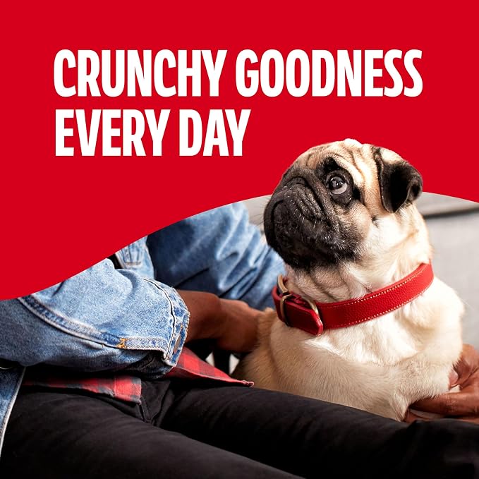 Milk-Bone Mini’s Original Biscuits, Mini Dog Treats, 6 Boxes | 6 (15-oz.) boxes, Tail-wagging meaty taste, 15% protein, 5 calories per treat